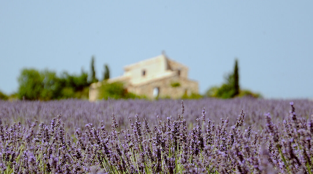 Lire une Bastide : l’art de l’architecture en Provence
