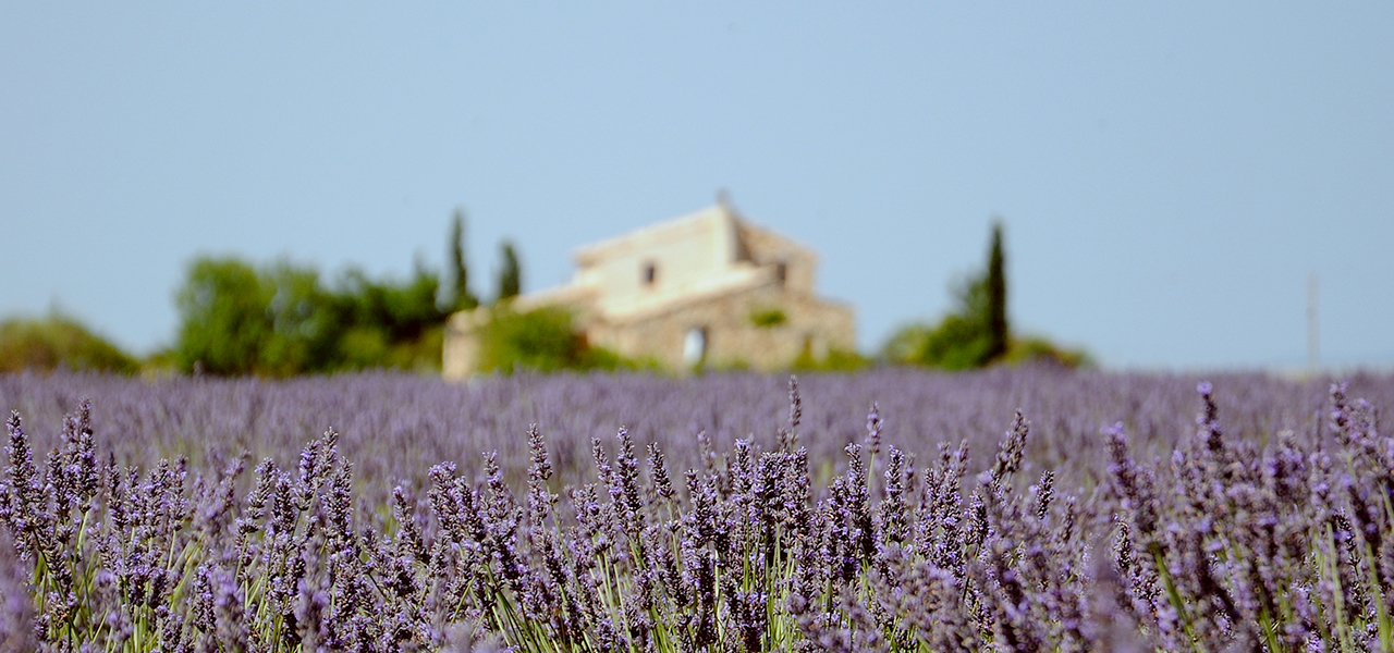 Lire une Bastide : l’art de l’architecture en Provence